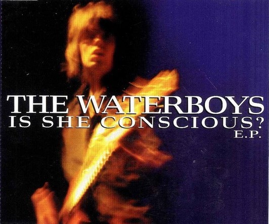 Cover of 'Is She Conscious? (EP)' - The Waterboys